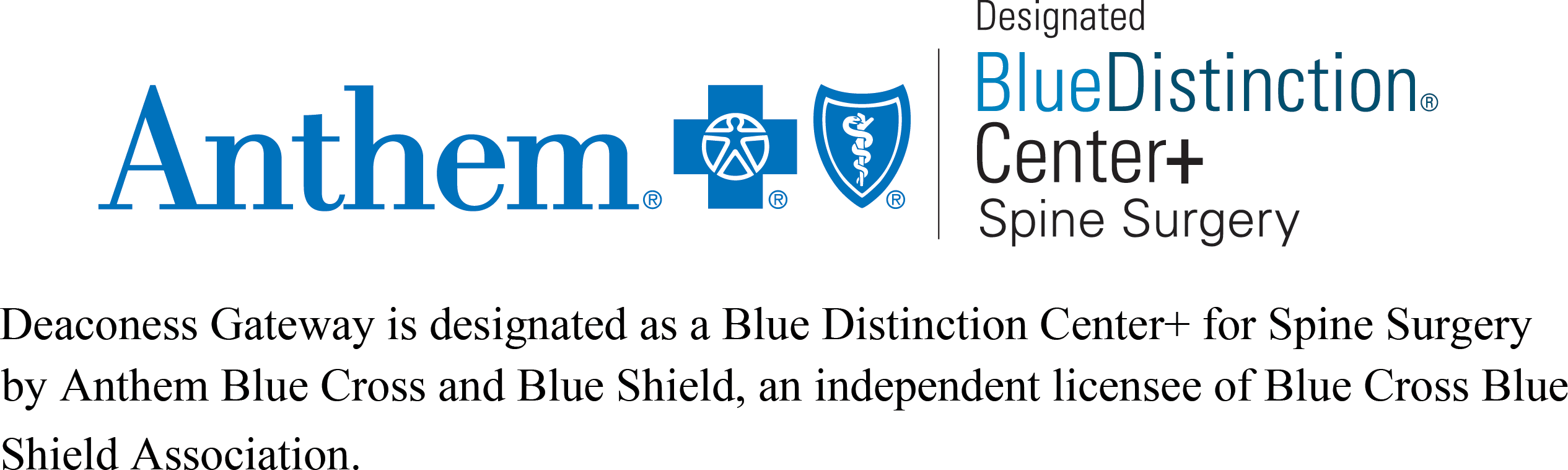 Anthem Blue Distinction Center+ Spine Surgery logo