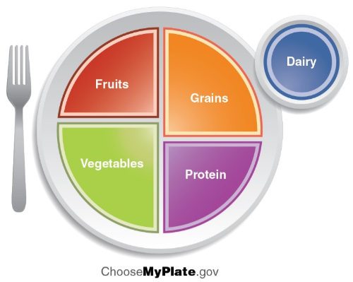 Cancer Services Nutrition Food Groups