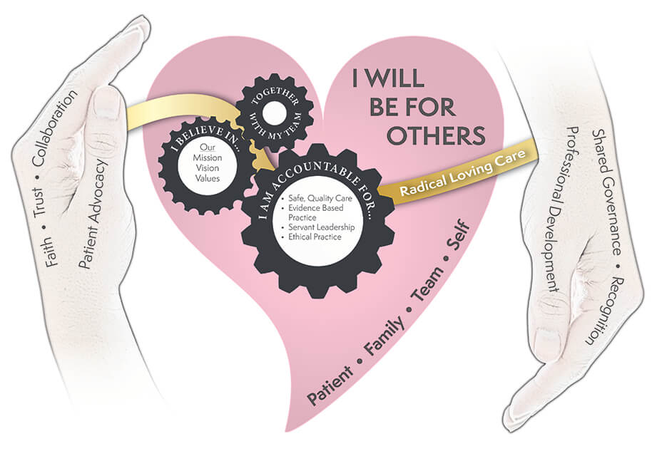 DMMC_ProfPracticeModel DMMC Professional Practice Model