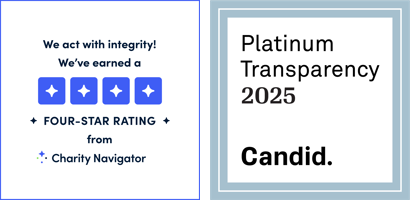 DMMC-drone-building-logo