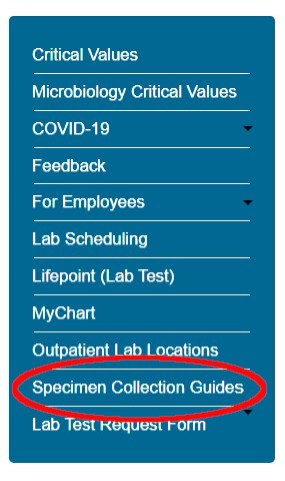 Lab specimen highlight