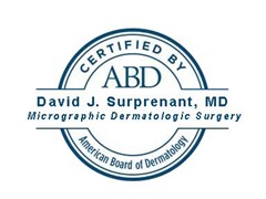 American Board of Dermatology seal