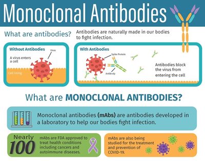 Monoclonal Antibodies Infographic